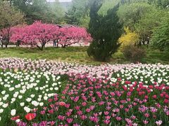 -北京植物园南门售票处