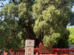 -四门塔风景区