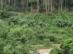 -长泰漂流水陆空景区