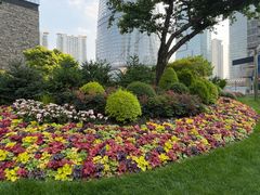 -北外滩滨江绿地