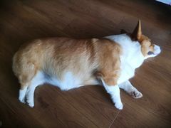 -谭老太正宗柳州螺狮粉(家和花园店)