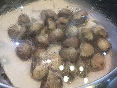 毛蚬-海味当家·蒸锅海鲜(中山广场创始店)