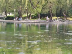 -百脉泉景区