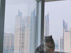 -Catmate·猫肥家润(金润铂宫店)