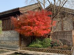 -茅山东方盐湖城景区