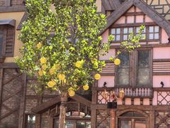 -郑州方特梦幻王国