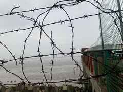 -碧海金沙