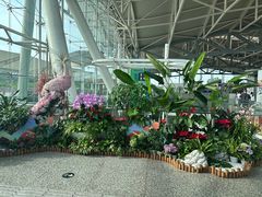 -重庆江北国际机场-T2航站楼