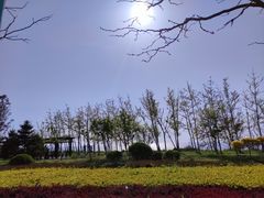 -辽宁团山国家级海洋公园