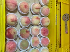 -老袁家蜜桃农场·阳山水蜜桃