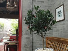 -北京古城老院厉晓麟精致菜