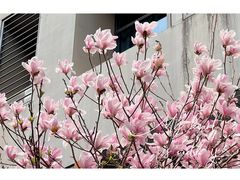 -南京航空航天大学(将军路校区)