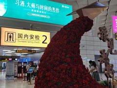 -郑州新郑国际机场-T2航站楼