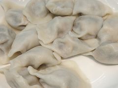 -枫林饺子