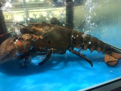 -麦德龙(郑东店)