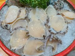 鲍鱼刺身-本家食堂(华南店)
