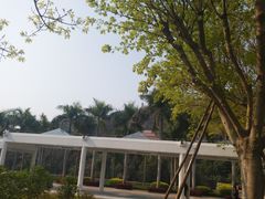 -厦门国家会计学院
