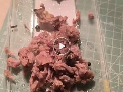 -自贡盐帮菜·玩辣餐厅(樱花园西街店)