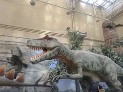 -国家自然博物馆