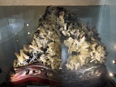 -陕西自然博物馆