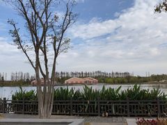 -上海长兴岛郊野公园