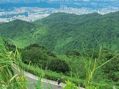 -阳台山森林公园