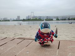 -台场海滨公园船码头