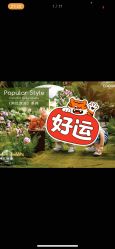 -七色田儿童摄影(静安店)