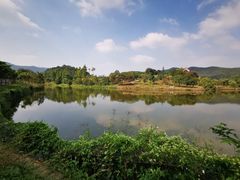 -大屏嶂森林公园