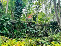 -中国科学院西双版纳热带植物园