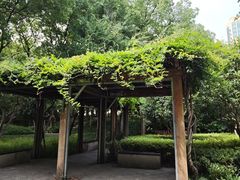 -徐家汇源景区-衡山公园