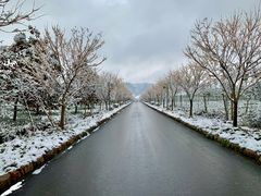 -帐篷客·溪龙茶谷度假酒店