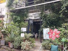 -六出私塾LiuChu•成人美术书法系统课程专业画室(熊婆婆的花园店)