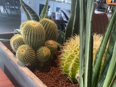 -West10 西拾·西餐厅·创意菜(未来科技城店)