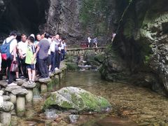 -牛背梁国家森林公园