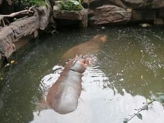 -长鹿旅游休博园