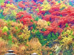 -九如山休闲旅游度假区