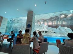 -帝企鹅自助餐厅•儿童岛•真企鹅(长隆企鹅酒店)