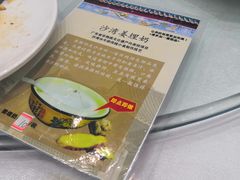 -鹅城