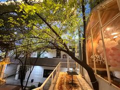 -春树下·树屋花房西餐厅(罍街AS1980店)