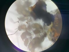 -百信宠物医院(东升街店)