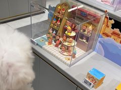 -泡泡玛特POPMART(北国先天下店)