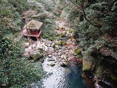 -碧峰峡风景区