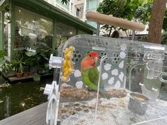 -绿房子方寸咖啡(星海名城店)