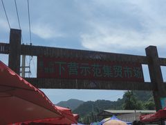 -示范集贸市场