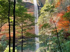 -沐川竹海旅游景区