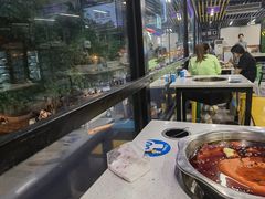 -小郡肝串串(解放碑店)