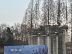-音乐台