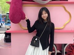 -合肥滨湖国家森林公园