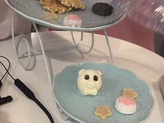 -三花喵·撸猫购宠·宠物生活馆(虹桥南丰城店)